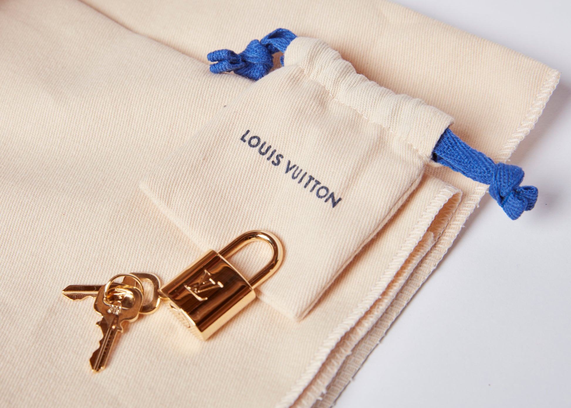 Louis Vuitton LV Garden Speedy Bandouliere