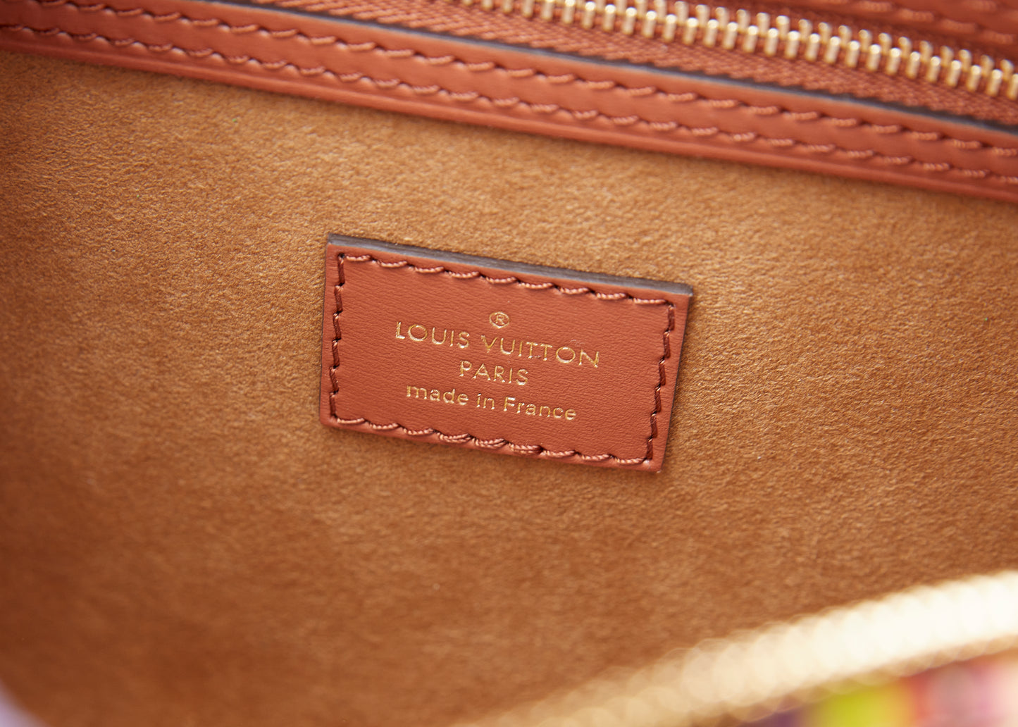Louis Vuitton Garden Speedy 25 