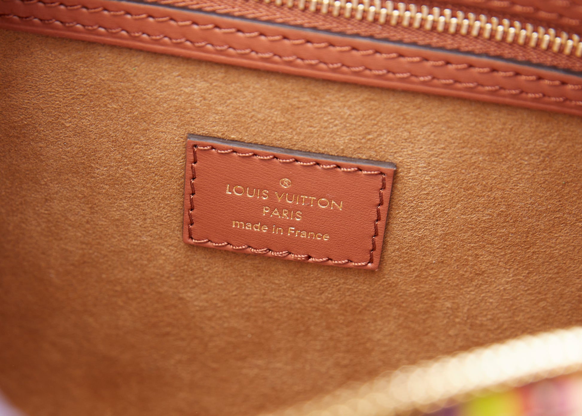 Louis Vuitton, Bags, Louis Vuitton Speedy 25 Garden Collection Brand New